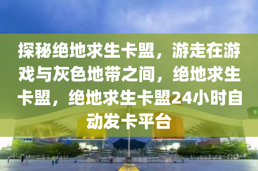 探秘绝地求生卡盟，游走在游戏与灰色地带之间，绝地求生卡盟，绝地求生卡盟24小时自动发卡平台