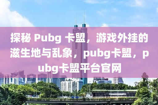 探秘 Pubg 卡盟，游戏外挂的滋生地与乱象，pubg卡盟，pubg卡盟平台官网