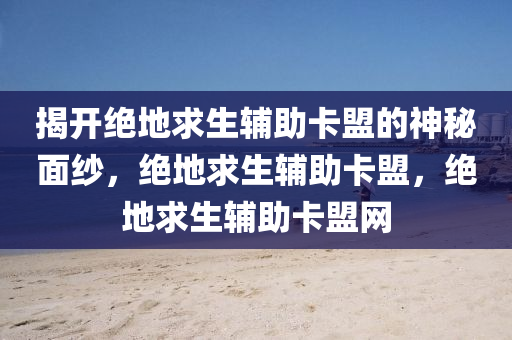 揭开绝地求生辅助卡盟的神秘面纱，绝地求生辅助卡盟，绝地求生辅助卡盟网