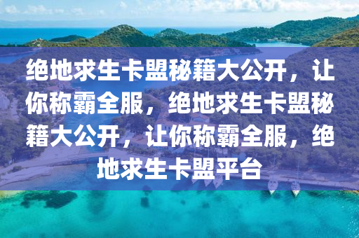 绝地求生卡盟秘籍大公开，让你称霸全服，绝地求生卡盟秘籍大公开，让你称霸全服，绝地求生卡盟平台