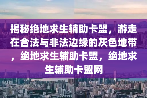 揭秘绝地求生辅助卡盟，游走在合法与非法边缘的灰色地带，绝地求生辅助卡盟，绝地求生辅助卡盟网