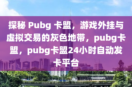 探秘 Pubg 卡盟，游戏外挂与虚拟交易的灰色地带，pubg卡盟，pubg卡盟24小时自动发卡平台