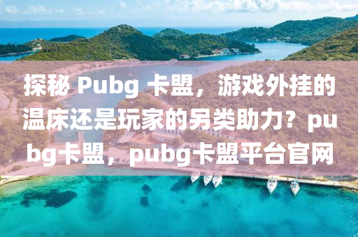 探秘 Pubg 卡盟，游戏外挂的温床还是玩家的另类助力？pubg卡盟，pubg卡盟平台官网
