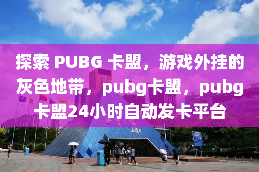 探索 PUBG 卡盟，游戏外挂的灰色地带，pubg卡盟，pubg卡盟24小时自动发卡平台