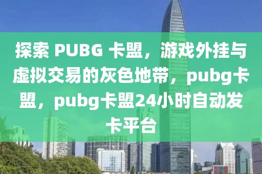 探索 PUBG 卡盟，游戏外挂与虚拟交易的灰色地带，pubg卡盟，pubg卡盟24小时自动发卡平台