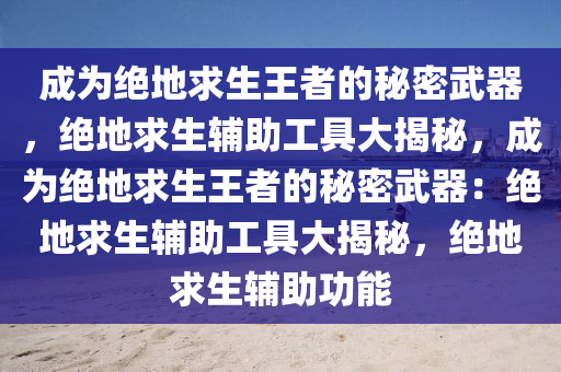 成为绝地求生王者的秘密武器，绝地求生辅助工具大揭秘，成为绝地求生王者的秘密武器：绝地求生辅助工具大揭秘，绝地求生辅助功能