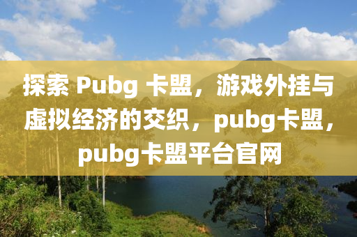 探索 Pubg 卡盟，游戏外挂与虚拟经济的交织，pubg卡盟，pubg卡盟平台官网