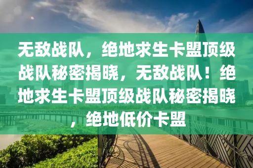 无敌战队，绝地求生卡盟顶级战队秘密揭晓，无敌战队！绝地求生卡盟顶级战队秘密揭晓，绝地低价卡盟