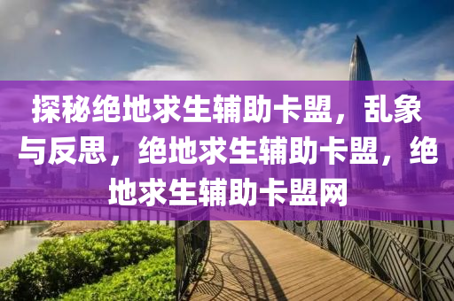 探秘绝地求生辅助卡盟，乱象与反思，绝地求生辅助卡盟，绝地求生辅助卡盟网