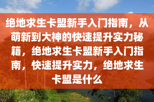 绝地求生卡盟新手入门指南，从萌新到大神的快速提升实力秘籍，绝地求生卡盟新手入门指南，快速提升实力，绝地求生卡盟是什么
