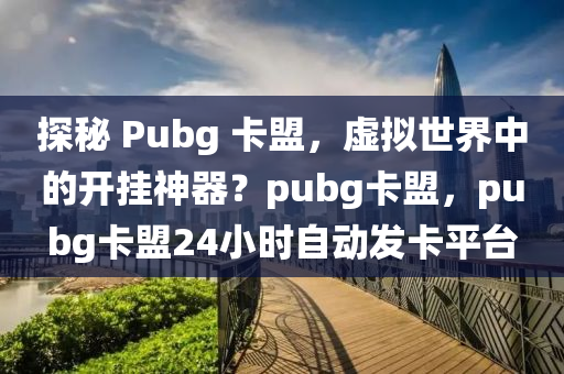 探秘 Pubg 卡盟，虚拟世界中的开挂神器？pubg卡盟，pubg卡盟24小时自动发卡平台