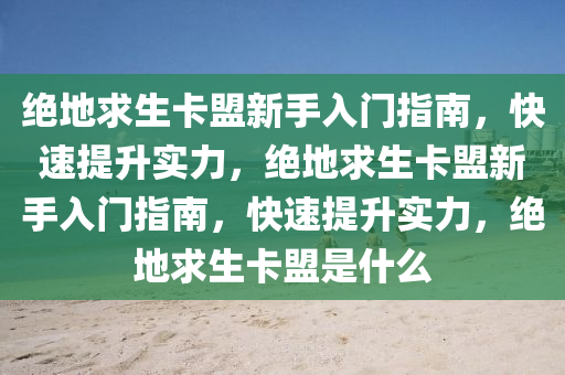 绝地求生卡盟新手入门指南，快速提升实力，绝地求生卡盟新手入门指南，快速提升实力，绝地求生卡盟是什么