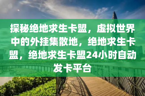 探秘绝地求生卡盟，虚拟世界中的外挂集散地，绝地求生卡盟，绝地求生卡盟24小时自动发卡平台