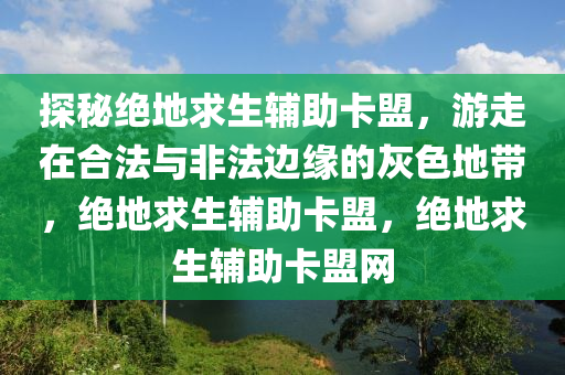 探秘绝地求生辅助卡盟，游走在合法与非法边缘的灰色地带，绝地求生辅助卡盟，绝地求生辅助卡盟网