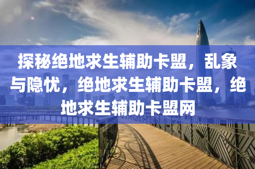 探秘绝地求生辅助卡盟，乱象与隐忧，绝地求生辅助卡盟，绝地求生辅助卡盟网