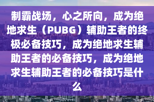 制霸战场，心之所向，成为绝地求生（PUBG）辅助王者的终极必备技巧，成为绝地求生辅助王者的必备技巧，成为绝地求生辅助王者的必备技巧是什么