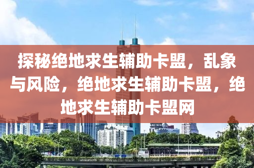 探秘绝地求生辅助卡盟，乱象与风险，绝地求生辅助卡盟，绝地求生辅助卡盟网