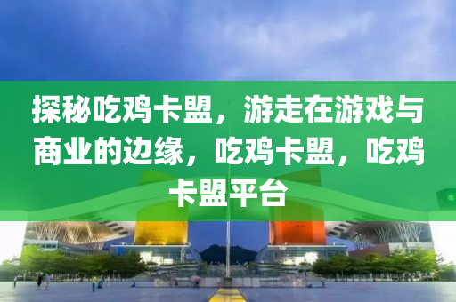 探秘吃鸡卡盟，游走在游戏与商业的边缘，吃鸡卡盟，吃鸡卡盟平台