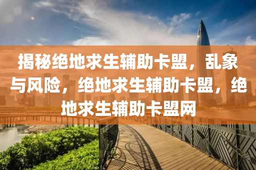 揭秘绝地求生辅助卡盟，乱象与风险，绝地求生辅助卡盟，绝地求生辅助卡盟网