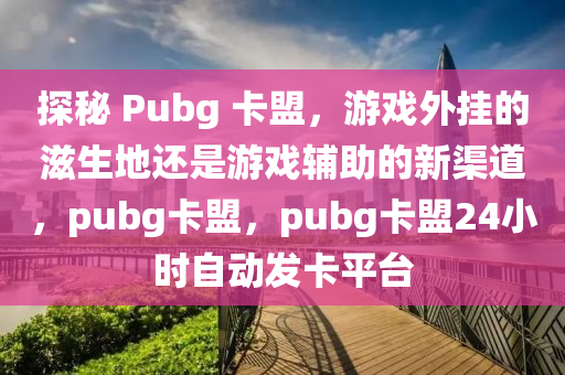探秘 Pubg 卡盟，游戏外挂的滋生地还是游戏辅助的新渠道，pubg卡盟，pubg卡盟24小时自动发卡平台