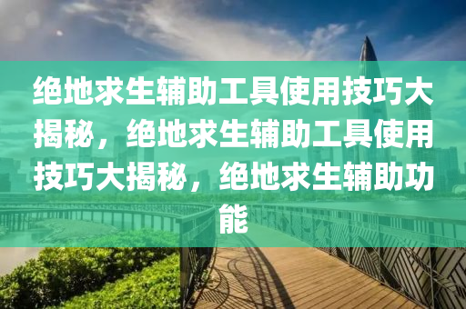 绝地求生辅助工具使用技巧大揭秘，绝地求生辅助工具使用技巧大揭秘，绝地求生辅助功能