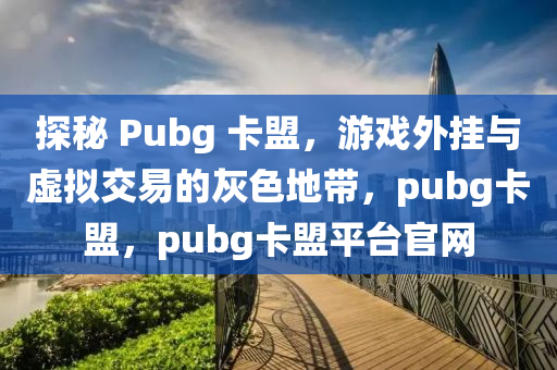 探秘 Pubg 卡盟，游戏外挂与虚拟交易的灰色地带，pubg卡盟，pubg卡盟平台官网