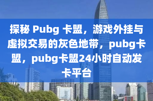 探秘 Pubg 卡盟，游戏外挂与虚拟交易的灰色地带，pubg卡盟，pubg卡盟24小时自动发卡平台