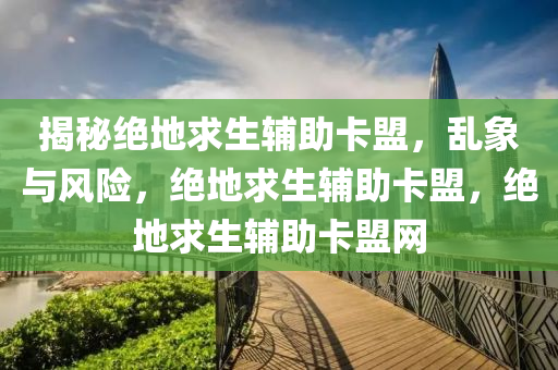 揭秘绝地求生辅助卡盟，乱象与风险，绝地求生辅助卡盟，绝地求生辅助卡盟网