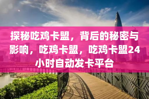 探秘吃鸡卡盟，背后的秘密与影响，吃鸡卡盟，吃鸡卡盟24小时自动发卡平台