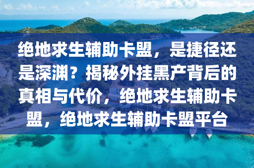 绝地求生辅助卡盟，是捷径还是深渊？揭秘外挂黑产背后的真相与代价，绝地求生辅助卡盟，绝地求生辅助卡盟平台
