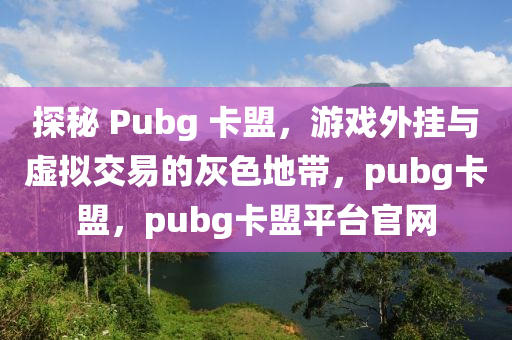 探秘 Pubg 卡盟，游戏外挂与虚拟交易的灰色地带，pubg卡盟，pubg卡盟平台官网