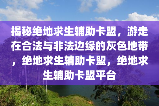 揭秘绝地求生辅助卡盟，游走在合法与非法边缘的灰色地带，绝地求生辅助卡盟，绝地求生辅助卡盟平台