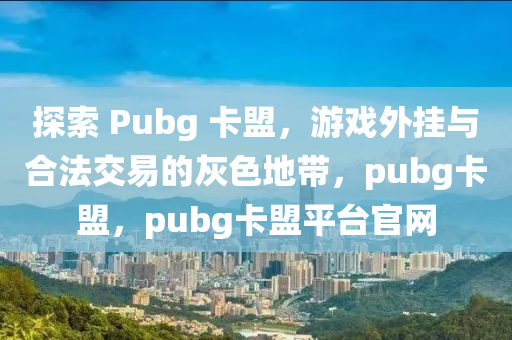探索 Pubg 卡盟，游戏外挂与合法交易的灰色地带，pubg卡盟，pubg卡盟平台官网