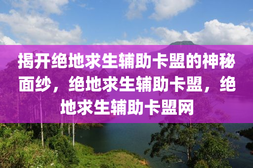 揭开绝地求生辅助卡盟的神秘面纱，绝地求生辅助卡盟，绝地求生辅助卡盟网