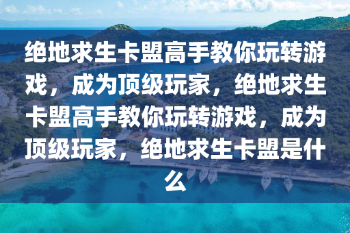 绝地求生卡盟高手教你玩转游戏，成为顶级玩家，绝地求生卡盟高手教你玩转游戏，成为顶级玩家，绝地求生卡盟是什么