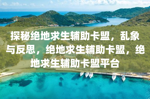 探秘绝地求生辅助卡盟，乱象与反思，绝地求生辅助卡盟，绝地求生辅助卡盟平台