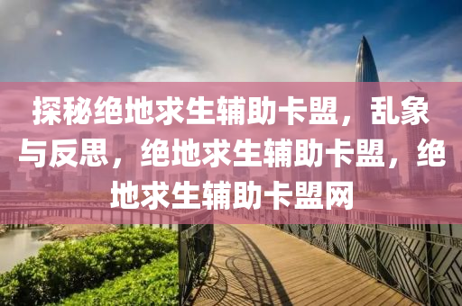 探秘绝地求生辅助卡盟，乱象与反思，绝地求生辅助卡盟，绝地求生辅助卡盟网