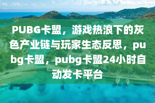 PUBG卡盟，游戏热浪下的灰色产业链与玩家生态反思，pubg卡盟，pubg卡盟24小时自动发卡平台