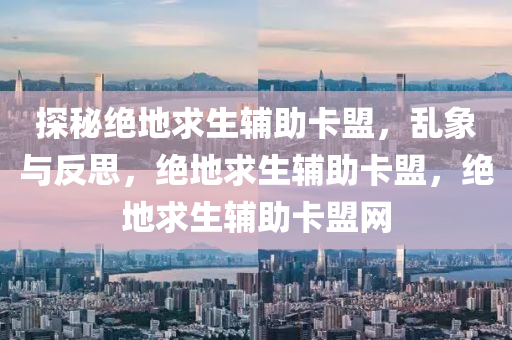 探秘绝地求生辅助卡盟，乱象与反思，绝地求生辅助卡盟，绝地求生辅助卡盟网