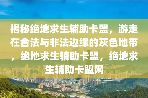 揭秘绝地求生辅助卡盟，游走在合法与非法边缘的灰色地带，绝地求生辅助卡盟，绝地求生辅助卡盟网
