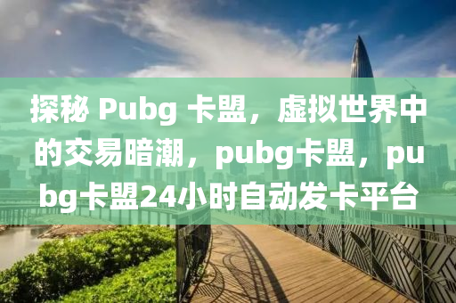 探秘 Pubg 卡盟，虚拟世界中的交易暗潮，pubg卡盟，pubg卡盟24小时自动发卡平台