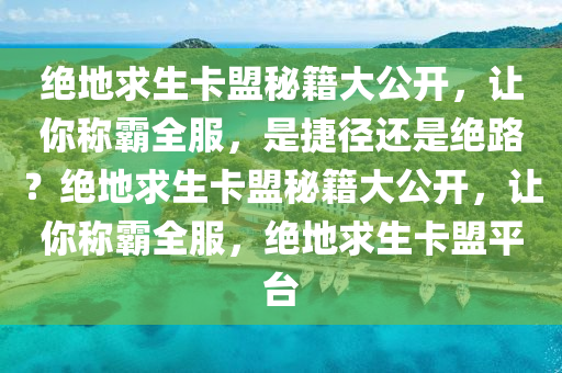 绝地求生卡盟秘籍大公开，让你称霸全服，是捷径还是绝路？绝地求生卡盟秘籍大公开，让你称霸全服，绝地求生卡盟平台
