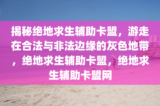 揭秘绝地求生辅助卡盟，游走在合法与非法边缘的灰色地带，绝地求生辅助卡盟，绝地求生辅助卡盟网