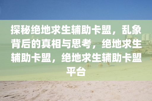探秘绝地求生辅助卡盟，乱象背后的真相与思考，绝地求生辅助卡盟，绝地求生辅助卡盟平台