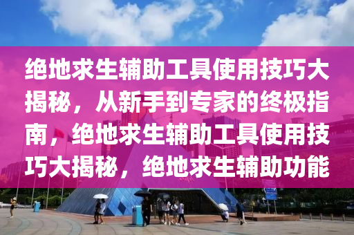 绝地求生辅助工具使用技巧大揭秘，从新手到专家的终极指南，绝地求生辅助工具使用技巧大揭秘，绝地求生辅助功能