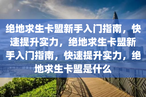 绝地求生卡盟新手入门指南，快速提升实力，绝地求生卡盟新手入门指南，快速提升实力，绝地求生卡盟是什么