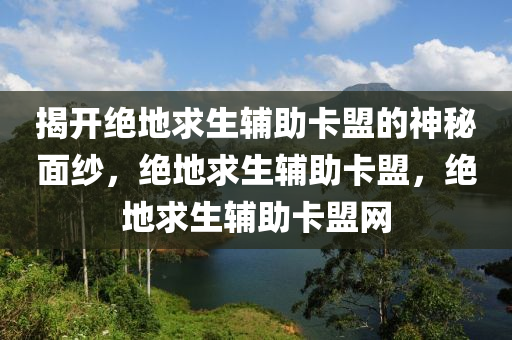 揭开绝地求生辅助卡盟的神秘面纱，绝地求生辅助卡盟，绝地求生辅助卡盟网