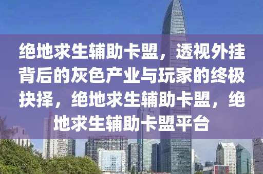绝地求生辅助卡盟，透视外挂背后的灰色产业与玩家的终极抉择，绝地求生辅助卡盟，绝地求生辅助卡盟平台