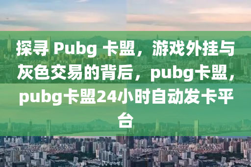 探寻 Pubg 卡盟，游戏外挂与灰色交易的背后，pubg卡盟，pubg卡盟24小时自动发卡平台