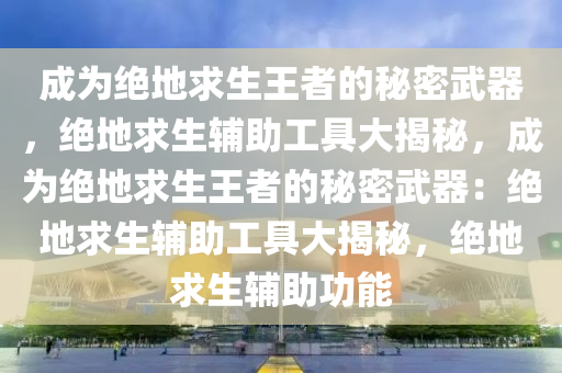 成为绝地求生王者的秘密武器，绝地求生辅助工具大揭秘，成为绝地求生王者的秘密武器：绝地求生辅助工具大揭秘，绝地求生辅助功能